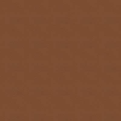 Abbeyshea Fabrics Tradewinds 6637 Deep Suntan