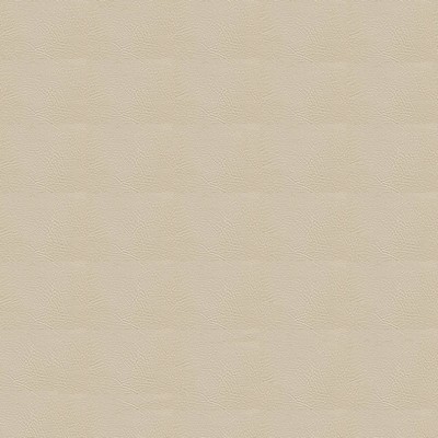 Abbeyshea Fabrics Tradewinds 7719 Seashell