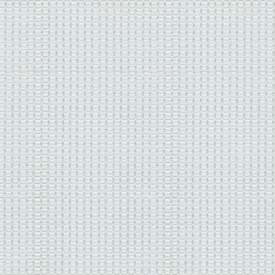 Abbeyshea Fabrics Transparent Tarpauline 14oz  Clear