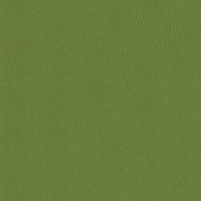 Abbeyshea Fabrics Turner 205 Sprig