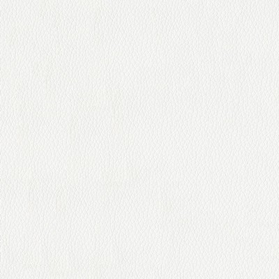 Abbeyshea Fabrics Turner 3822 White