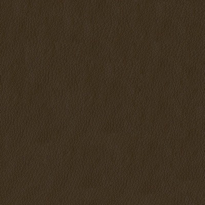 Abbeyshea Fabrics Turner 802 Tan