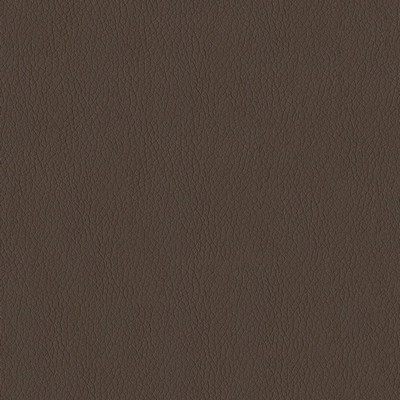 Abbeyshea Fabrics Turner 808 Mocha