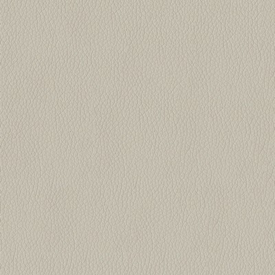 Abbeyshea Fabrics Turner 9003 Grey