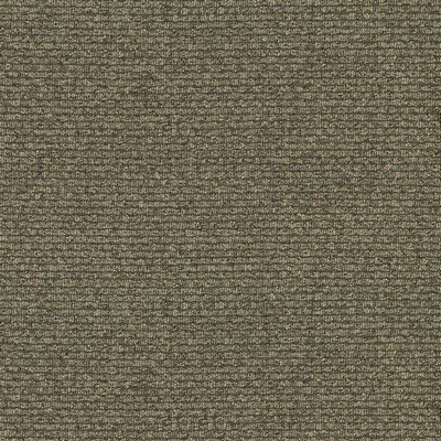 Abbeyshea Fabrics Unchained 81 Timber