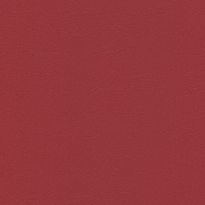 Abbeyshea Fabrics Enduratex Vaquero 1000 Apple Jack