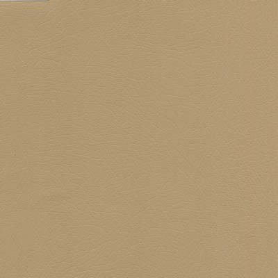 Abbeyshea Fabrics Enduratex Vaquero 1008 Chaparral