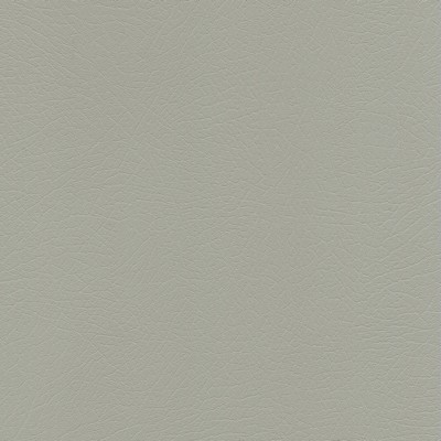 Abbeyshea Fabrics Enduratex Vaquero 1012 Concha