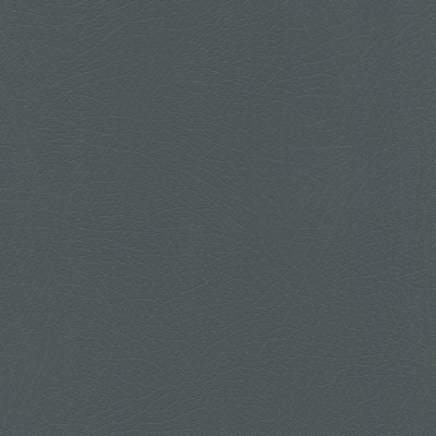 Abbeyshea Fabrics Enduratex Vaquero 1020 Hematite