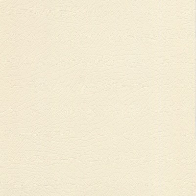 Abbeyshea Fabrics Enduratex Vaquero 1028 Lariat