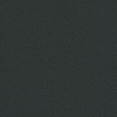 Abbeyshea Fabrics Enduratex Vaquero 1036 Night Rider