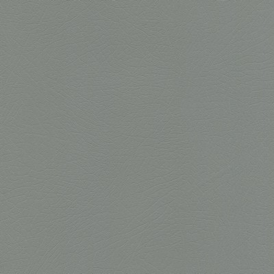 Abbeyshea Fabrics Enduratex Vaquero 1040 Pyrite