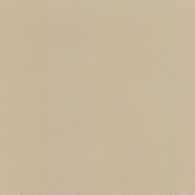 Abbeyshea Fabrics Enduratex Vaquero 1044 Smokey Quartz