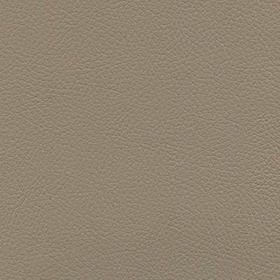 Abbeyshea Fabrics Enduratex Verona 7528 Medium Light Stone