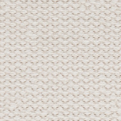 Abbeyshea Fabrics Heavy Cotton Webbing 2in. - 9550