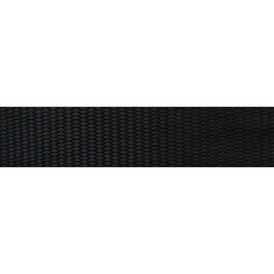 Abbeyshea Fabrics Heavy Duty Nylon Webbing 2in. - 9793