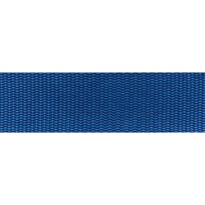 Abbeyshea Fabrics Heavy Duty Nylon Webbing 1in. - 9794