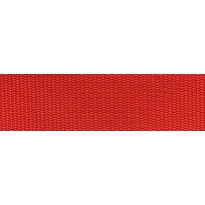 Abbeyshea Fabrics Heavy Duty Nylon Webbing 1in. - 9797