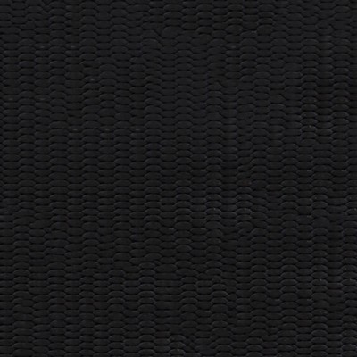 Abbeyshea Fabrics Nylon Webbing 2in.