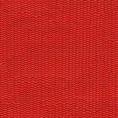 Abbeyshea Fabrics Nylon Webbing 1in.