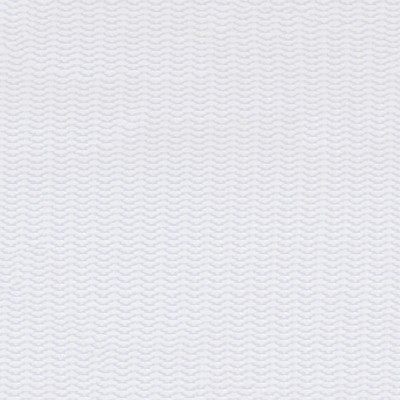 Abbeyshea Fabrics Nylon Webbing 1in.