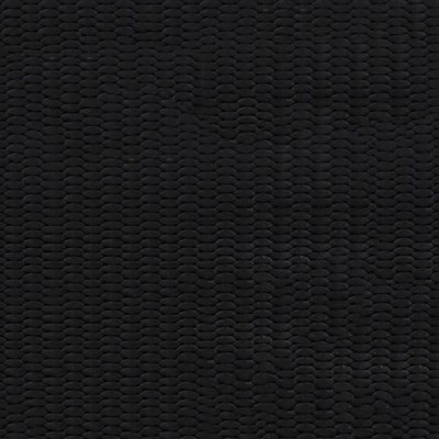 Abbeyshea Fabrics Nylon Webbing 1in.