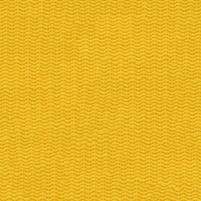Abbeyshea Fabrics Nylon Webbing 1in.