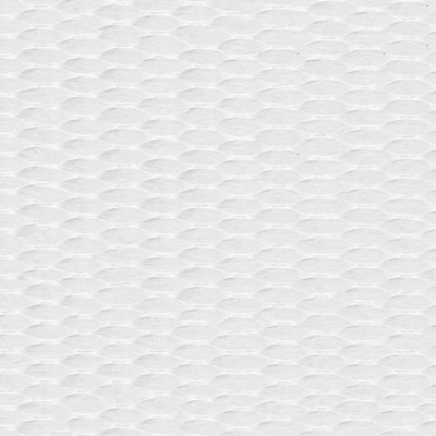 Abbeyshea Fabrics Polyester Webbing 1in. - 13130