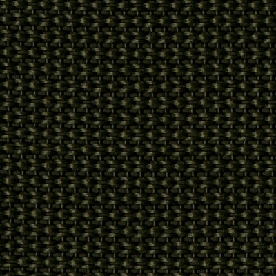 Abbeyshea Fabrics Polypropylene Webbing 1in.