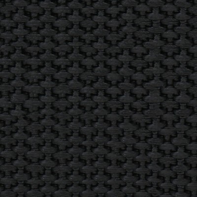 Abbeyshea Fabrics Heavy Polypropylene Webbing 1 1/2in. - 9735