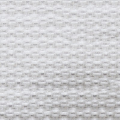Abbeyshea Fabrics Heavy Polypropylene Webbing 1 1/2in. - 9736