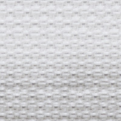 Abbeyshea Fabrics Heavy Polypropylene Webbing 2in. - 9738