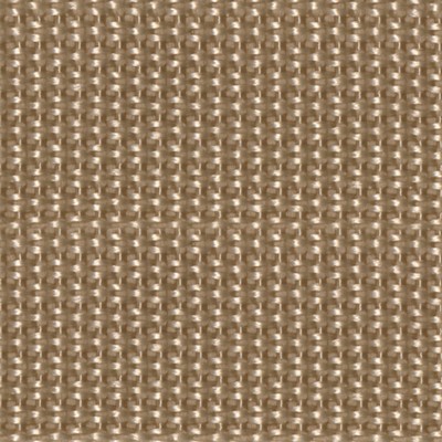 Abbeyshea Fabrics Polypropylene Webbing 1in.