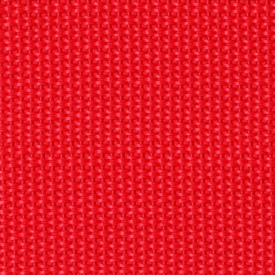 Abbeyshea Fabrics Polypropylene Webbing 1 1/2in.