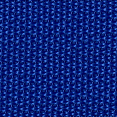 Abbeyshea Fabrics Polypropylene Webbing 2in.