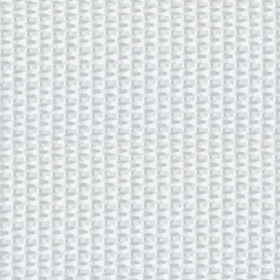 Abbeyshea Fabrics Polypropylene Webbing 1in.