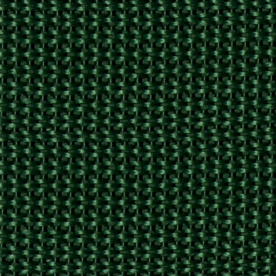 Abbeyshea Fabrics Polypropylene Webbing 1in.