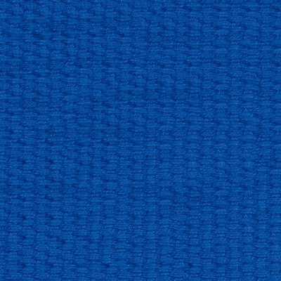 Abbeyshea Fabrics Sunbrella Webbing 6601 Pacific Blue - 13125
