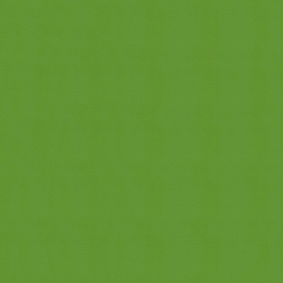 Abbeyshea Fabrics Windsong 717 Lime Cooler