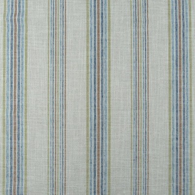 Hamilton Fabric BUCKHORN BLUEJAY