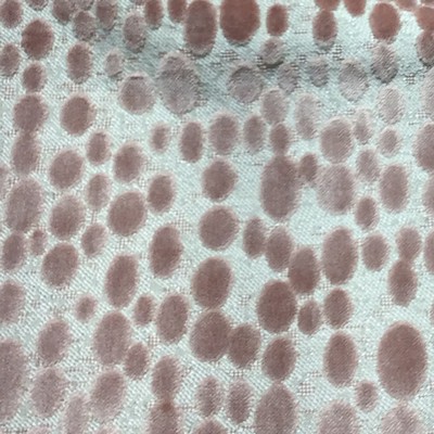 Hamilton Fabric FINCH CAMEO