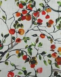 Hamilton Fabric Orchard Mandarin Fabric