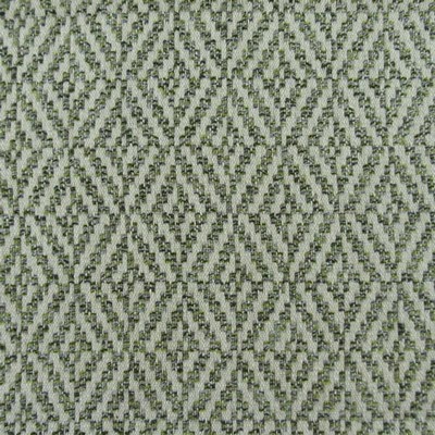 Hamilton Fabric PELHAM ALOE