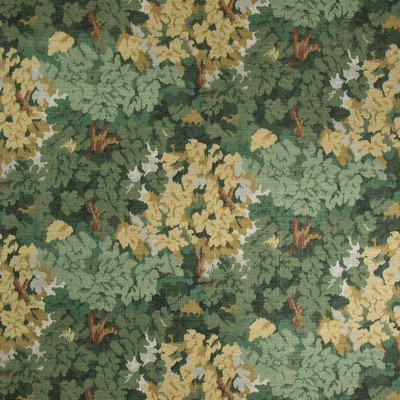 Lee Jofa ARLEY PRINT IVY