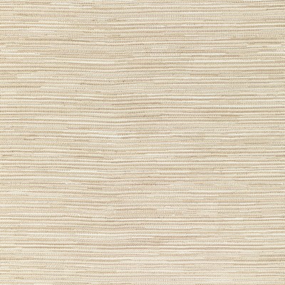 Lee Jofa OROZCO WEAVE ALABASTER