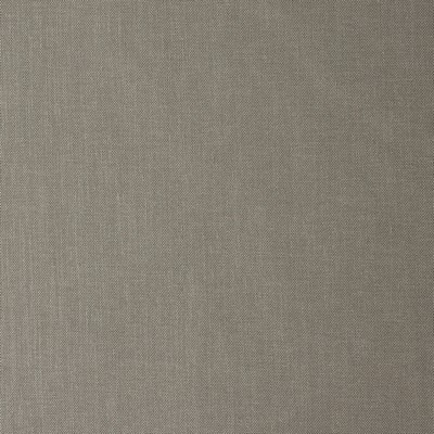 Mitchell Fabrics Vibrato Cloudy