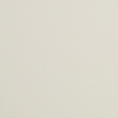 Mitchell Fabrics Daffy Optic White