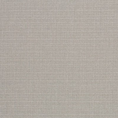 Mitchell Fabrics Jubilant Silver