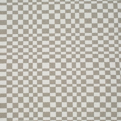 Mitchell Fabrics Champ Fog