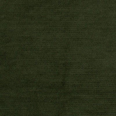 Mitchell Fabrics Comfy Turtle